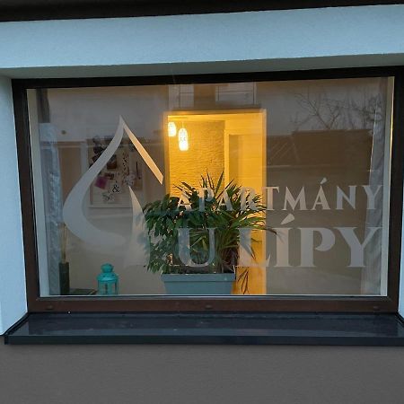 Apartmány U Lípy Tatobity Esterno foto