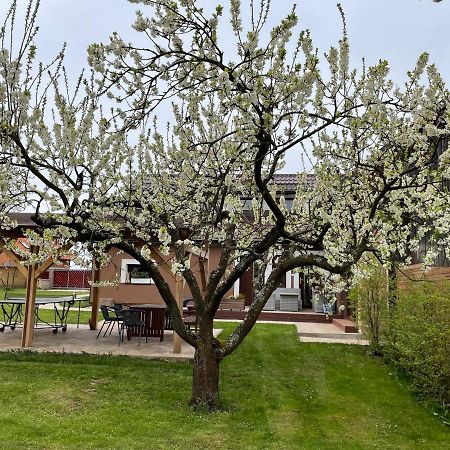 Apartmány U Lípy Tatobity Esterno foto