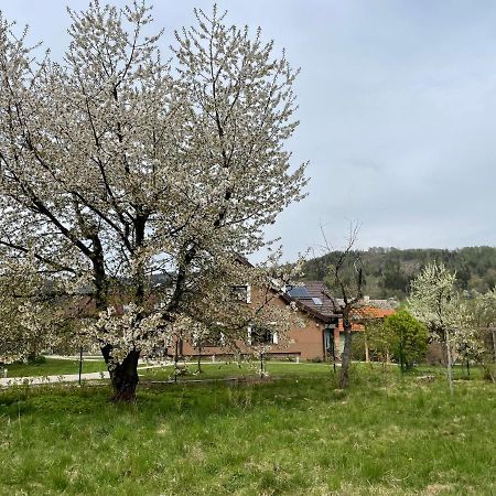 Apartmány U Lípy Tatobity Esterno foto