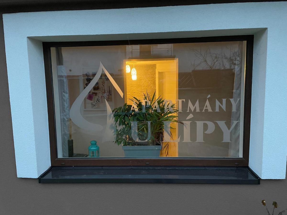 Apartmány U Lípy Tatobity Esterno foto