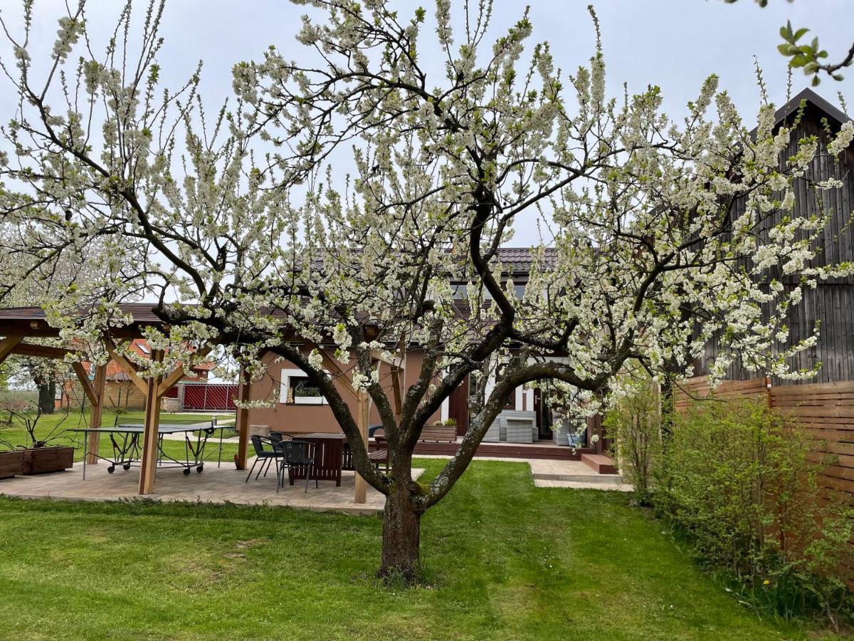 Apartmány U Lípy Tatobity Esterno foto