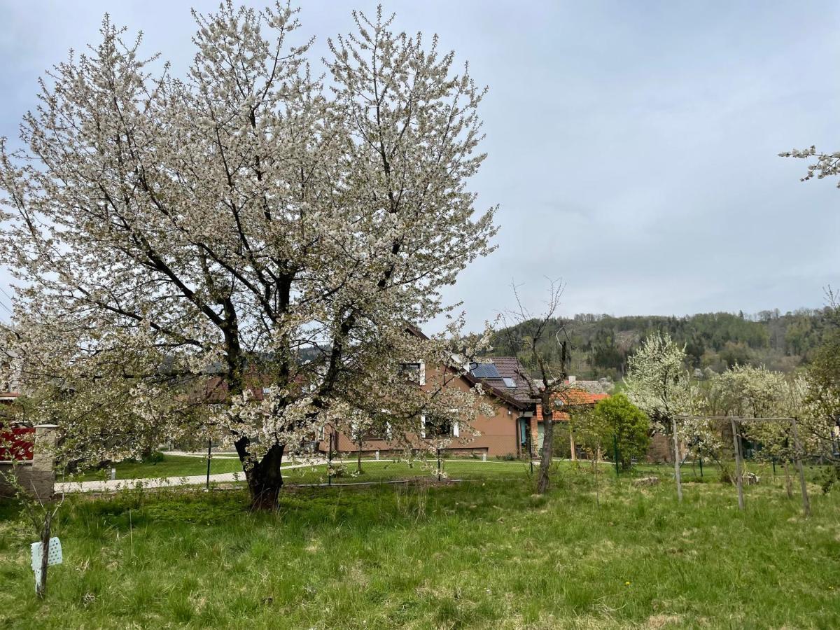 Apartmány U Lípy Tatobity Esterno foto